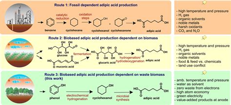 Adipic Acid: Un pilastro insostituibile per la produzione di nylon e polimeri speciali!