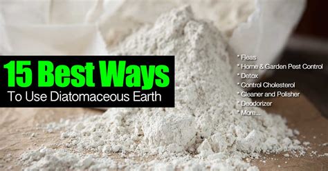 Diatomaceous Earth:  Un'alternativa naturale per filtrazione ad alta efficienza e isolamento termico!