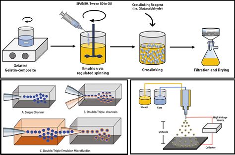  Gelatin Biomaterial: A Wonder Material for Tissue Engineering and Drug Delivery?