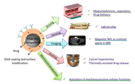  Hyaluronic Acid: Un Gel Meraviglioso per Applicazioni Biomediche Innovative!