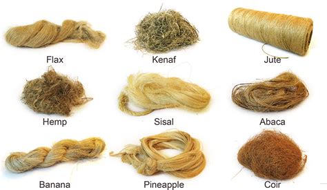  Jute: Una fibra naturale incredibile per rinforzo composito e biodegradabilità!