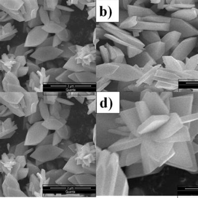  Lanthanum Oxide: A Champion for High-Temperature Applications and Optical Enhancement!