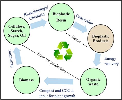  Lignin: Rivoluzionando la Bioplastica e l'Economia Circolare!