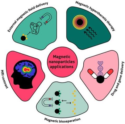 Magnetite Nanoparticle Applications in Magnetic Drug Delivery Systems!