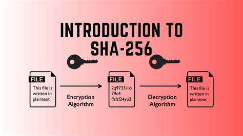 sha256 암호화 사이트, 그리고 디지털 시대의 보안 철학