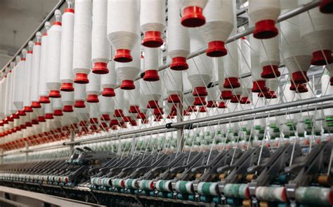 Woolly Fibers: Il Segreto Industriale per Tessere il Futuro!